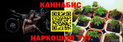 сатива Наро-Фоминск