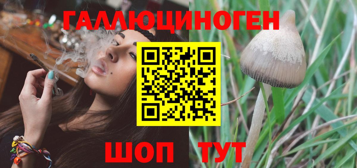 наркошоп  Псилоцибиновые грибы MAGIC MUSHROOMS  Вход с VPN  Галлюциногенные грибы MAGIC MUSHROOMS  Фурманов 